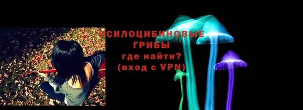 apvp Корсаков