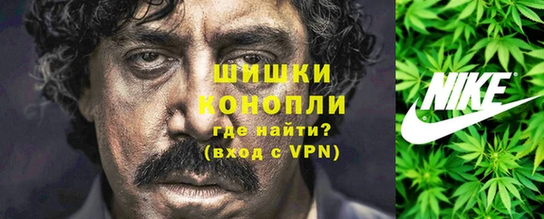 амф Костерёво