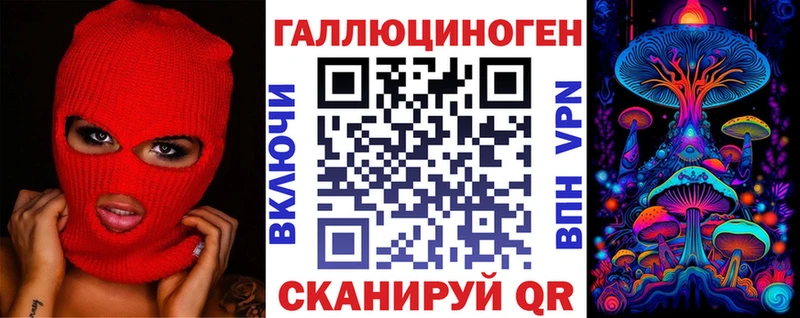 blacksprut онион  наркотики  Киржач  Псилоцибиновые грибы Psilocybe 